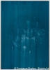 Tiefsee : Nereus 2020, Acryl und lose Farbpigmente auf Karton, 70x50 cm.