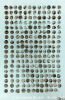 Sepia 215 2021, Acryl und Tusche auf Papier, DIN-A2.